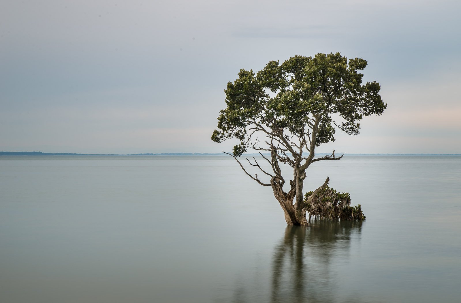 Why we need to save Westernport Bay from AGL: A breakdown